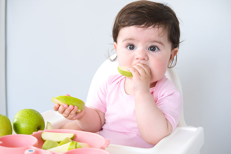 bebe en silla de comer comiendo una manzana verde a trozos con las manos